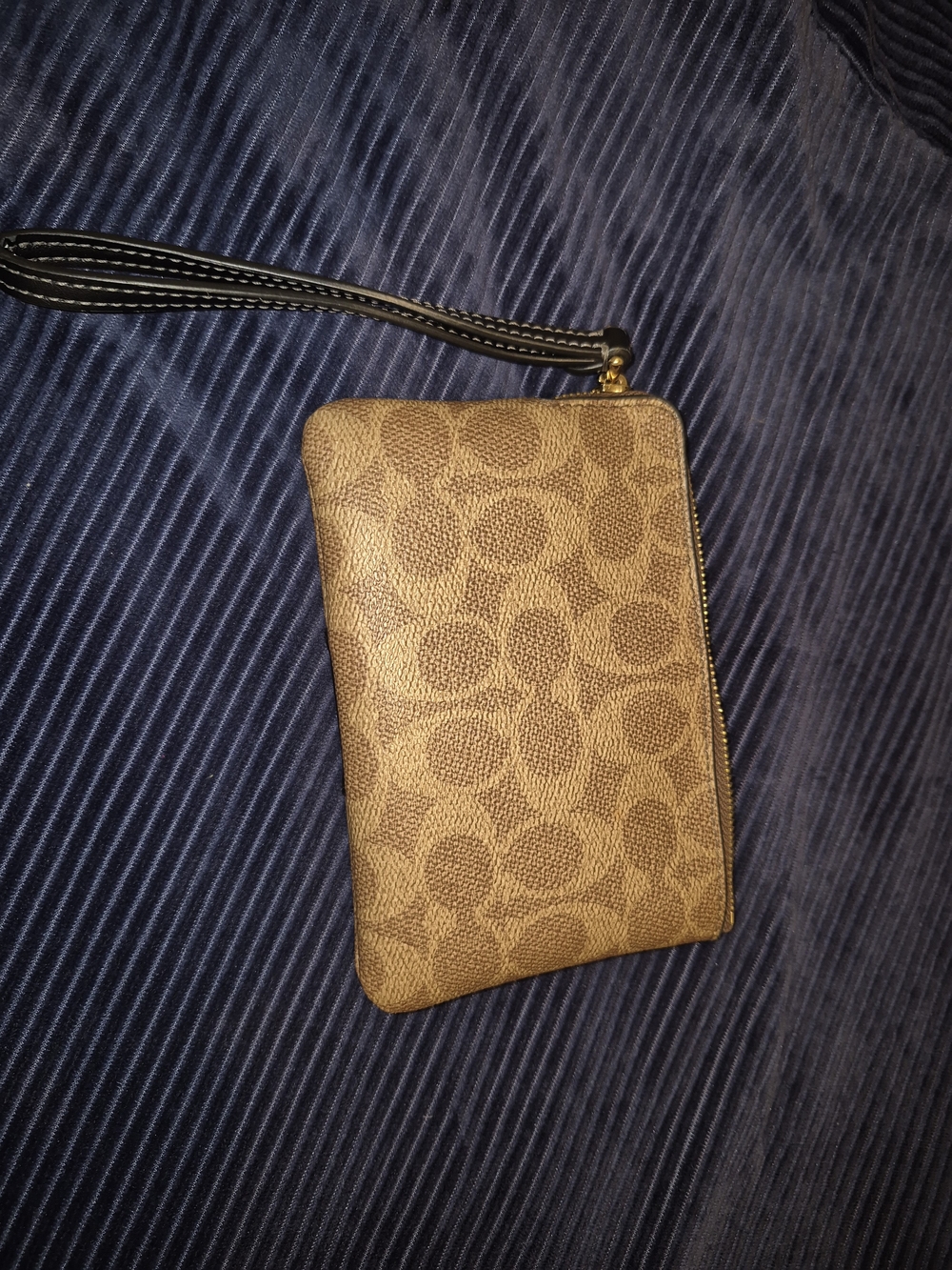 Coach Signature Canvas Wristlet in Brown